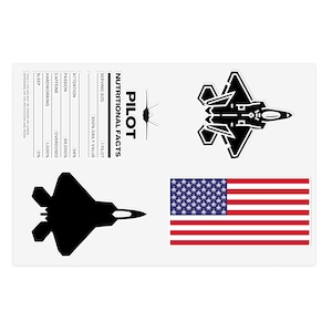 Sticker Sheets - F22 Fighter Jet Sticker Pack, Airplane Decals, Military Aircraft Stickers, Aviation Enthusiast Gift, Laptop Decals,
