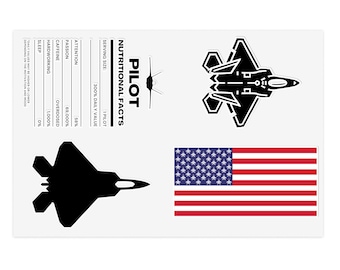 F22 Fighter Jet Sticker Pack: Aviation Enthusiast Decals
