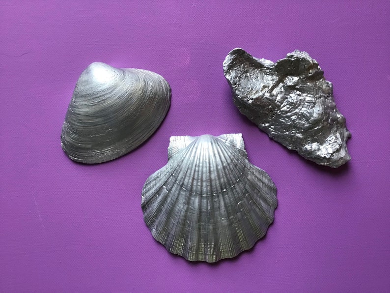 scallop OR oyster Hydrangea pattern decoupaged silver gilded shell in CHOICE of Atlantic surf clam