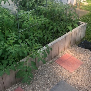 Raised Cedar Garden Planter Bed - 4 Foot X 4 Foot X 1 Foot