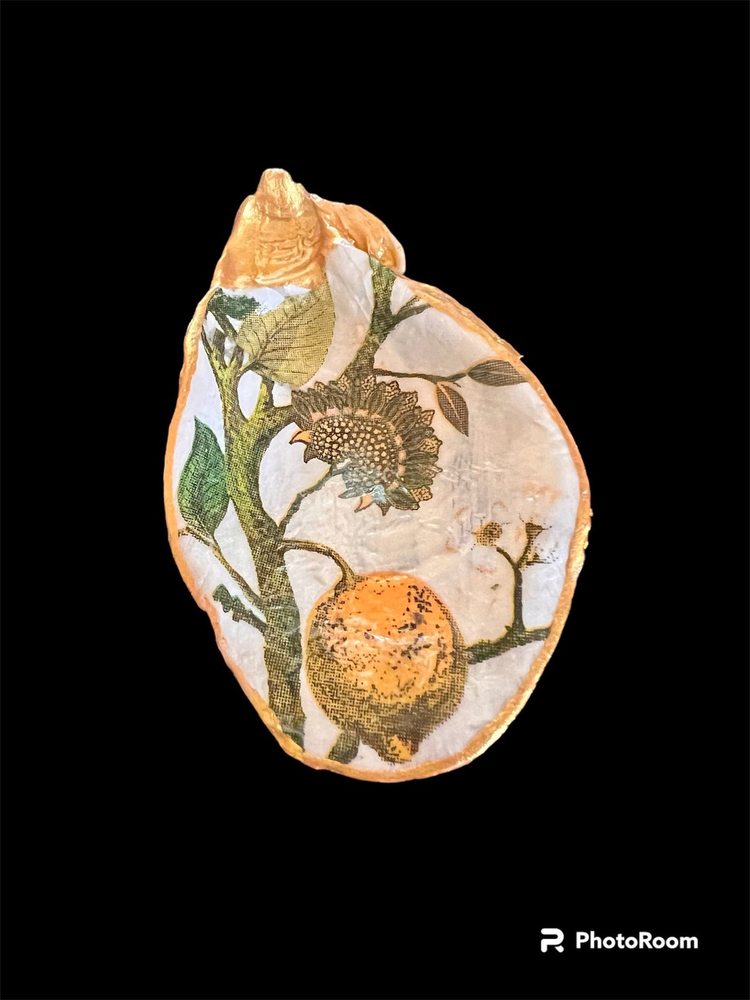 Shell Magnet - Etsy
