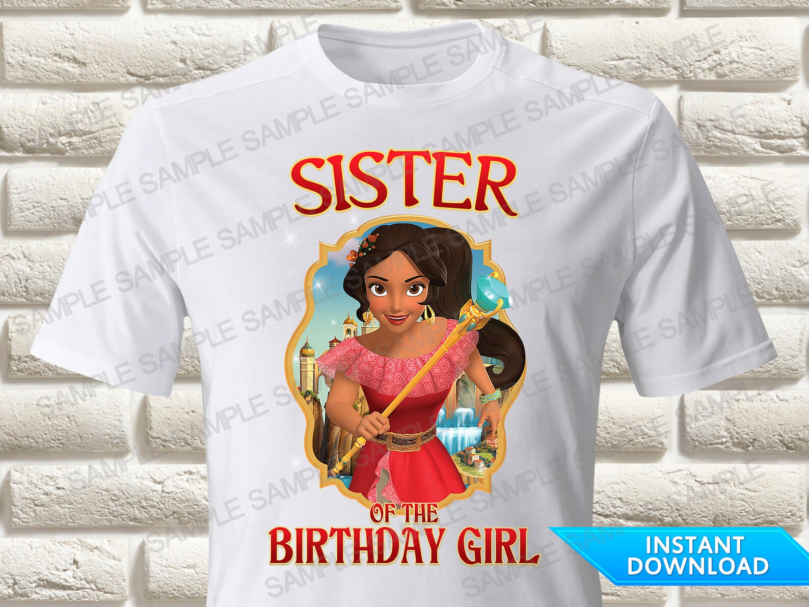 Elena of Avalor Sister of the Birthday Girl Iron on Transfer - Etsy