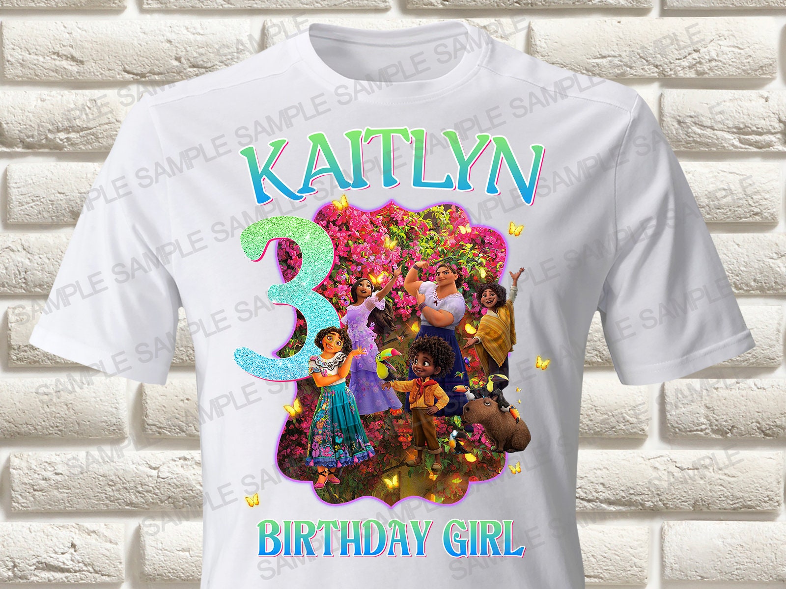 Encanto Iron On Transfer, Encanto Birthday Iron On Transfer, Encanto Birthday Shirt Iron On Transfer, Encanto Shirt, (Only digital PNG)