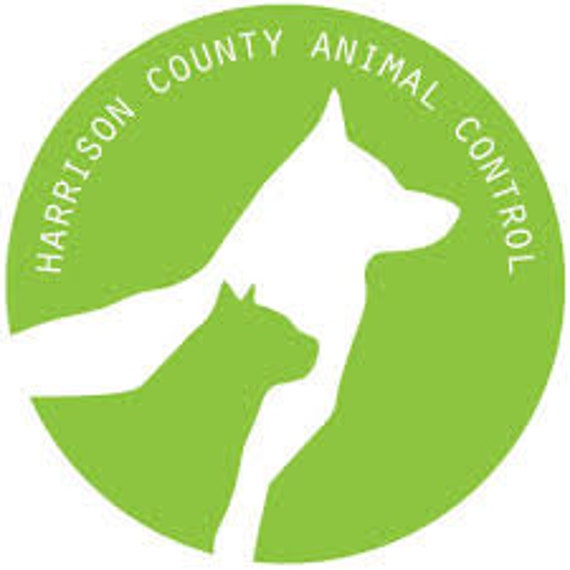 harrison animal shelter