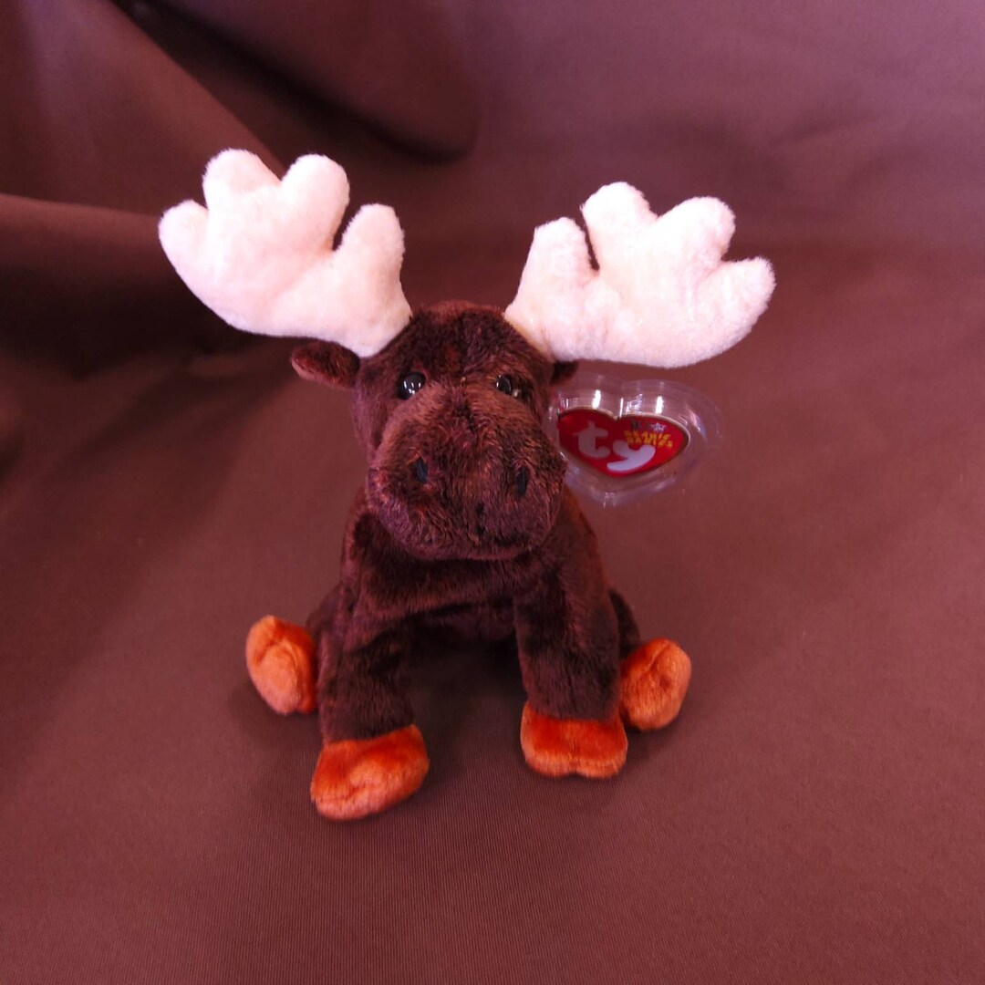 TY Beanie Baby zeus the Moose. New, Never Played With. Stored in a