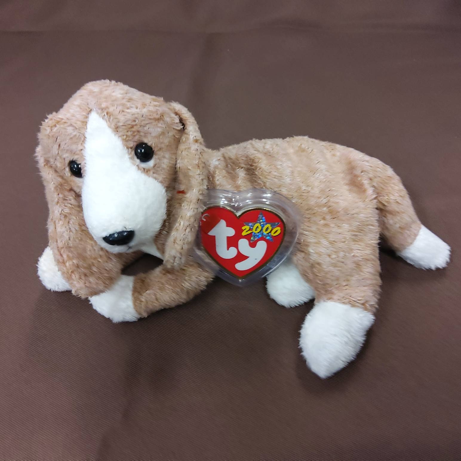 Beagle ty top beanie baby