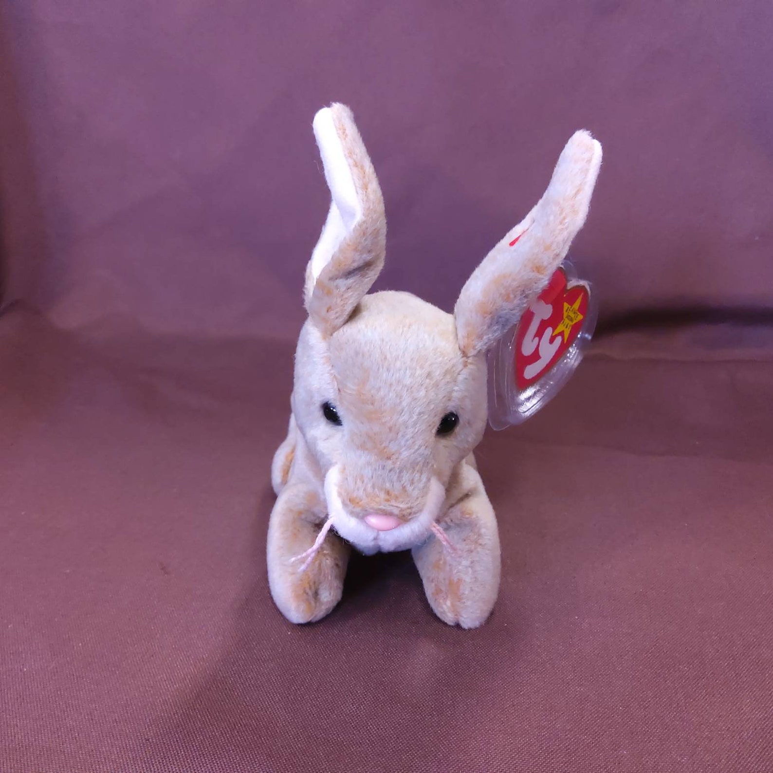 TY Beanie Baby nibbly the Rabbit. New Never Etsy