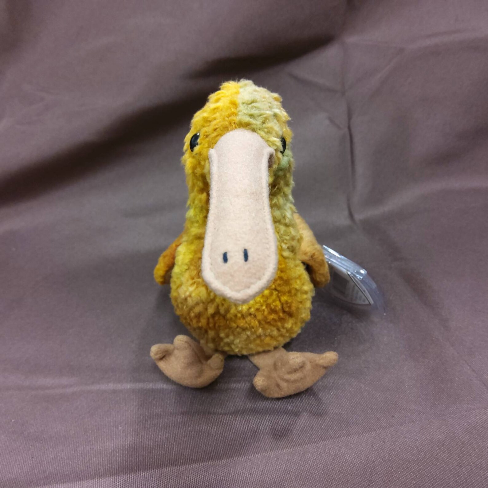 TY Beanie Baby Beak the Kiwi Bird. New never | Etsy