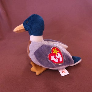 May include: A teal blue and brown plush duck with a white belly. The duck has a Ty tag attached to its back with a red star and the word "Ty" in white.