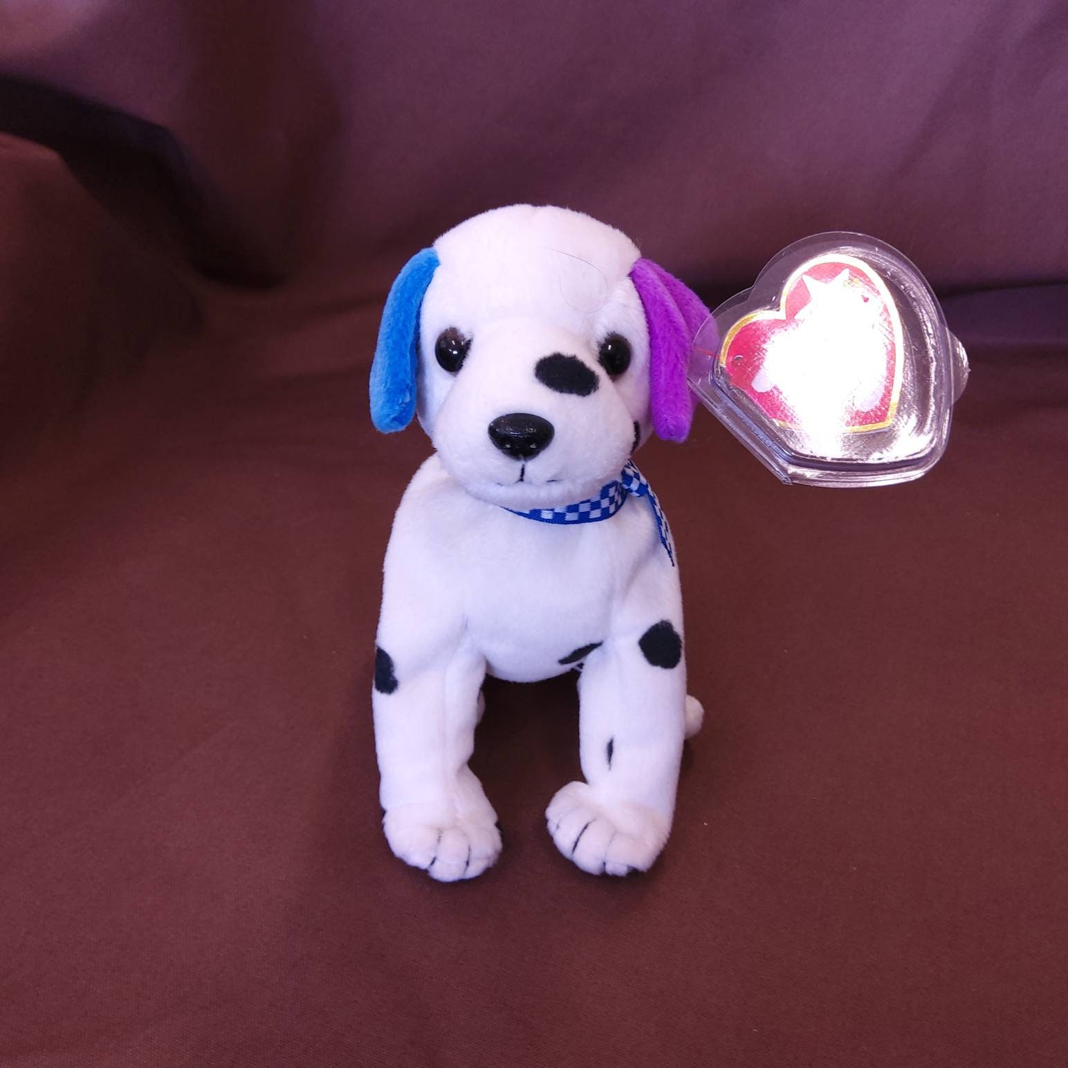 What Happens When A Dog Gets Dizzy