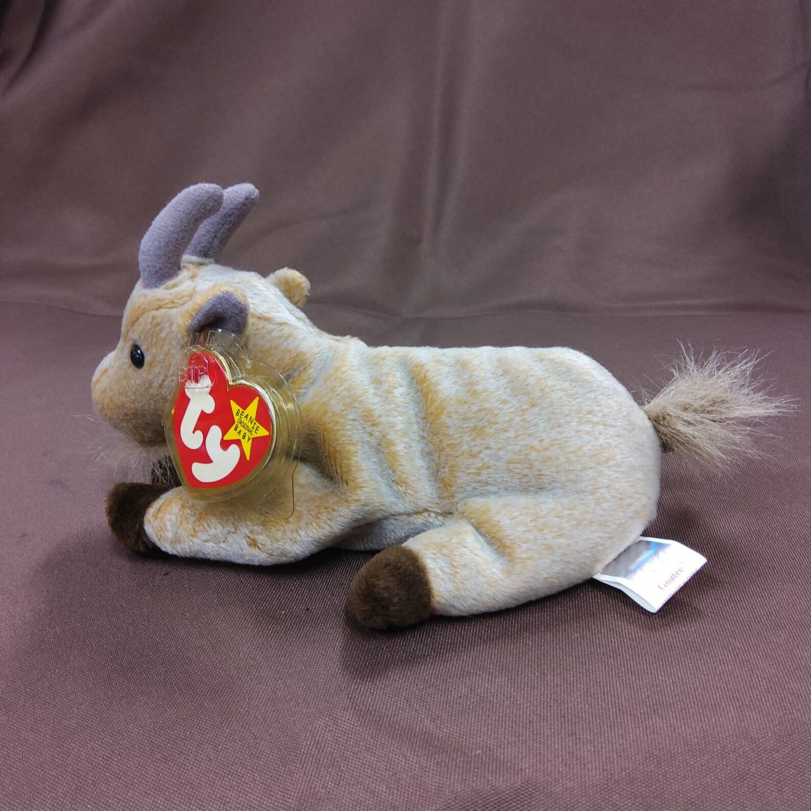 TY Beanie Baby Goatee the Goat. New never played | Etsy