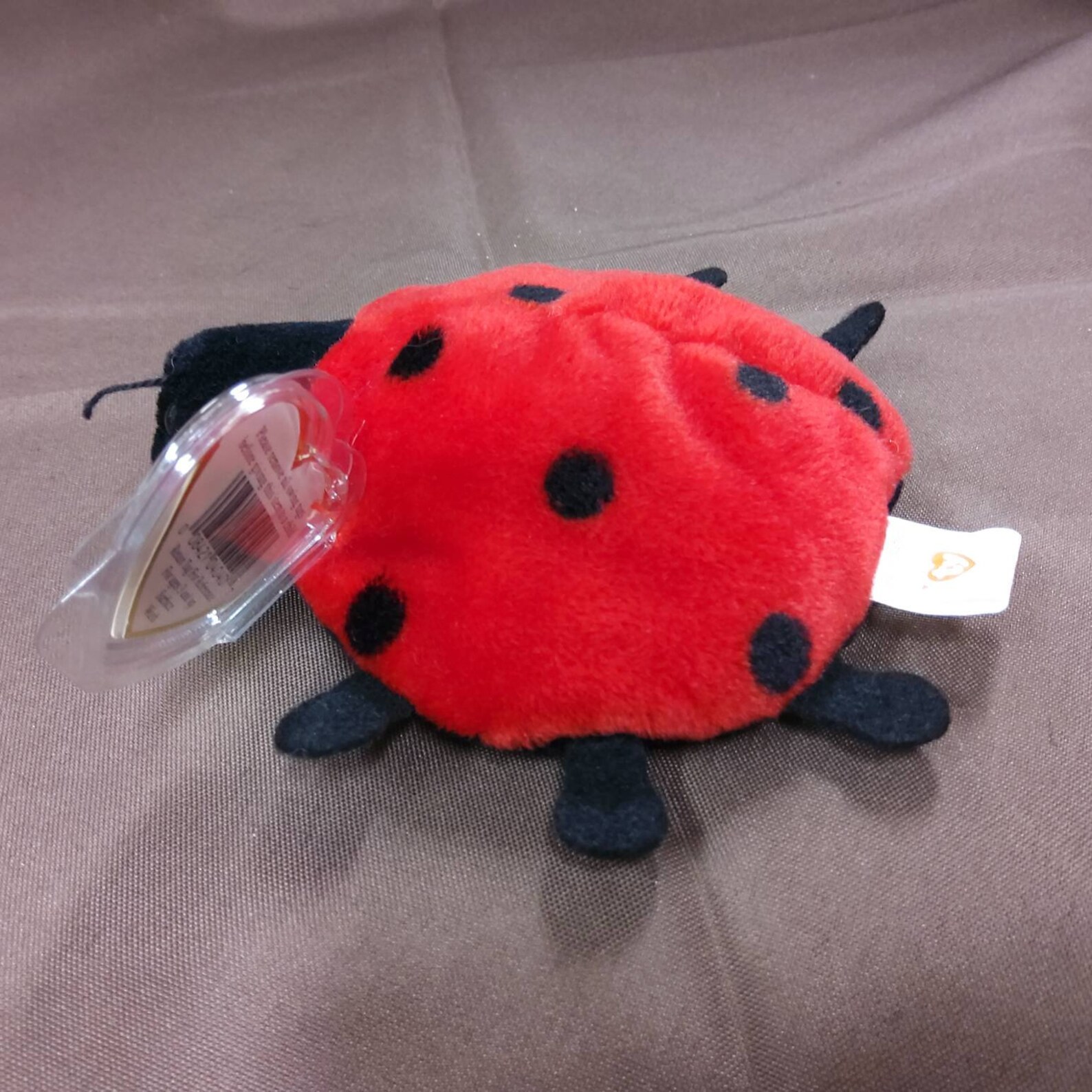 TY Beanie Baby Lucky the Ladybug. New never Etsy