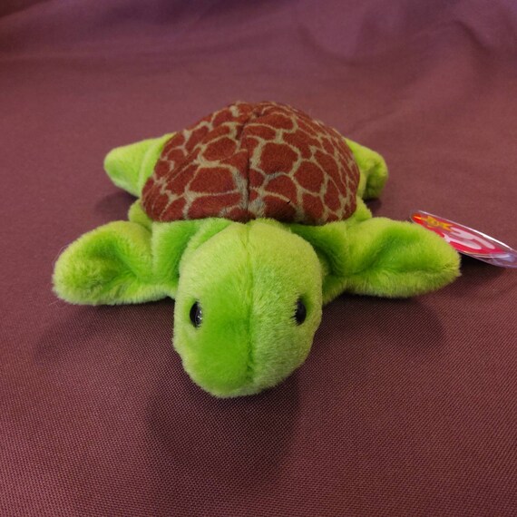TY Beanie Baby speedy the Turtle. New Never Played With. Stored
