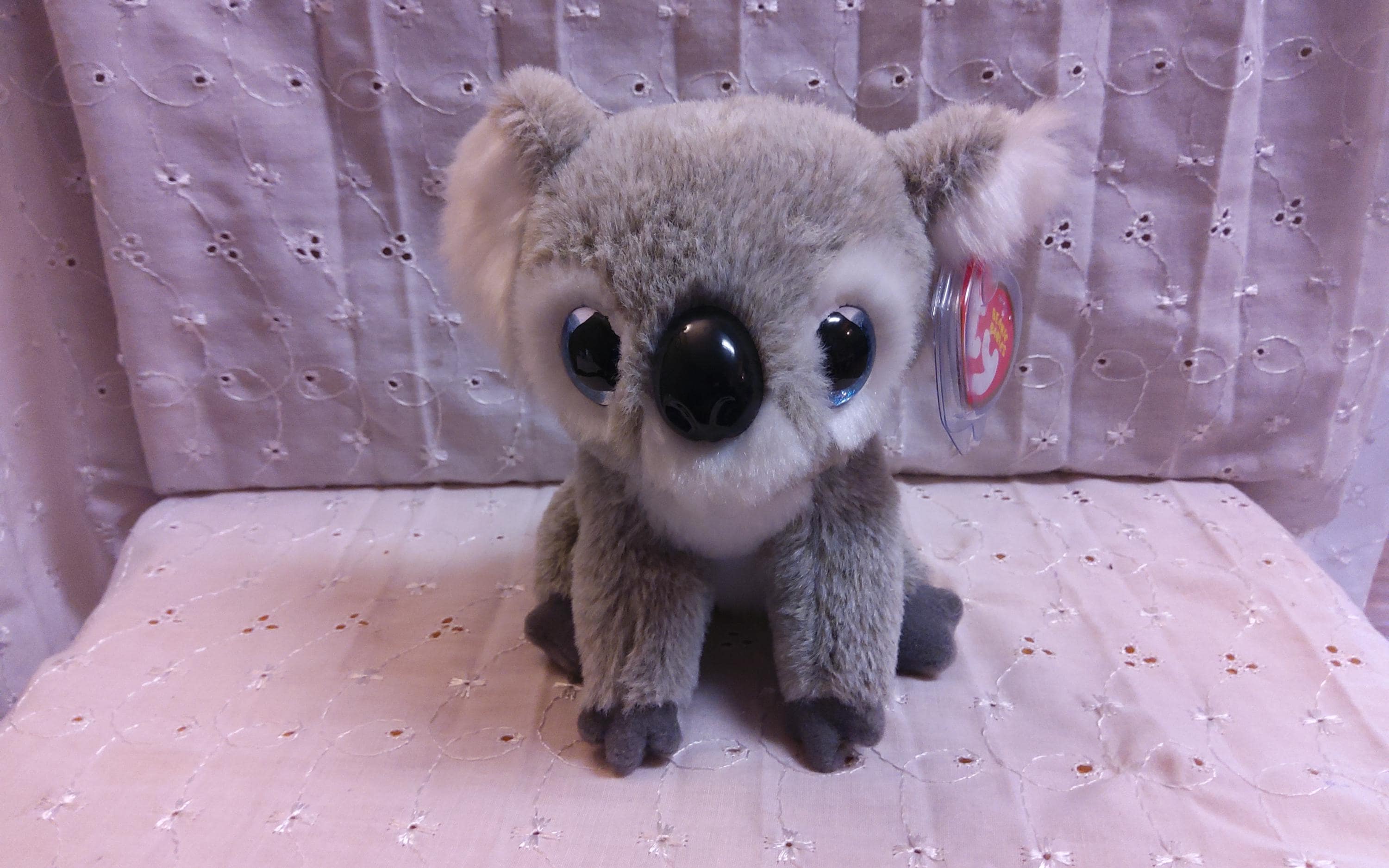 Ty Kookoo Koala Bear - Main Image