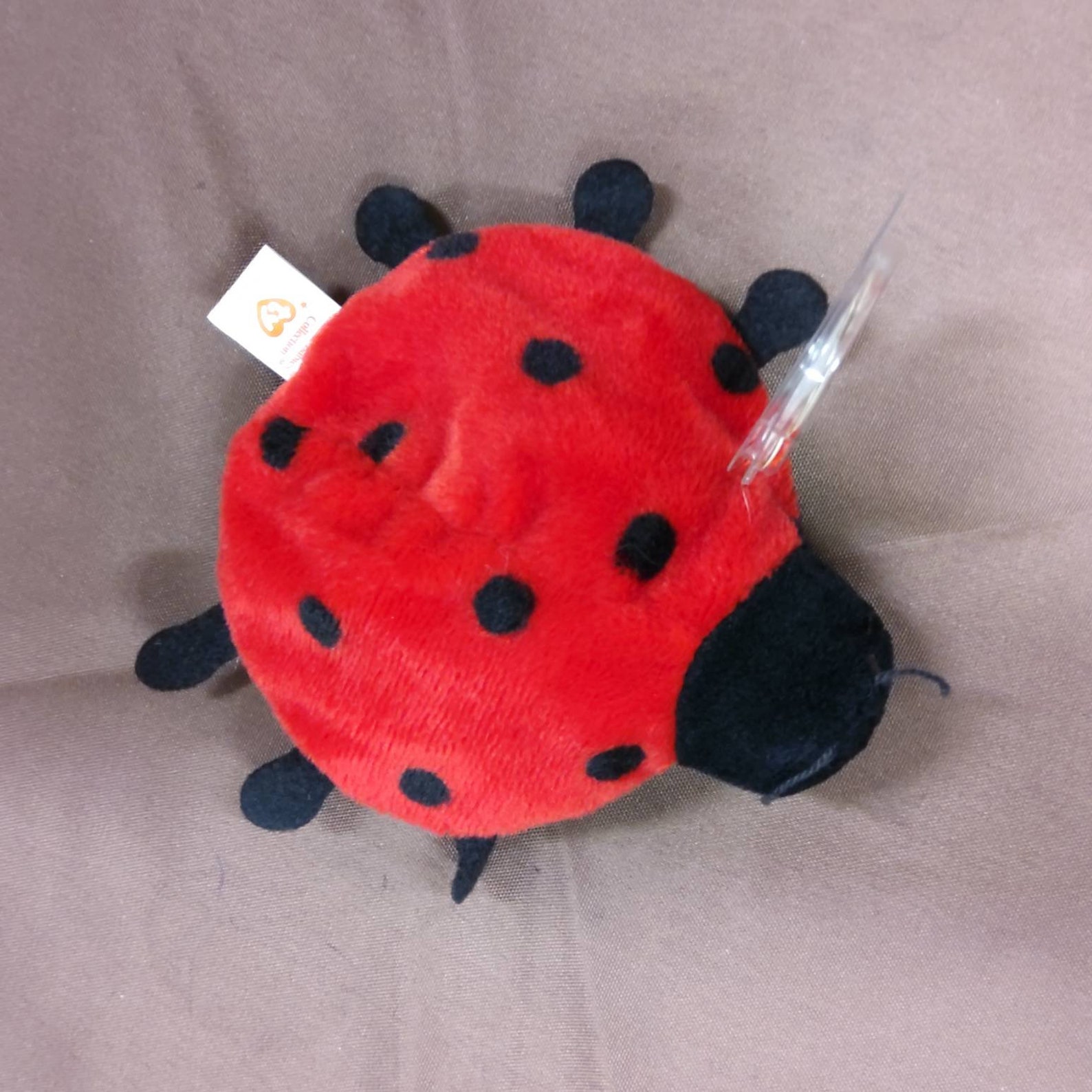TY Beanie Baby Lucky the Ladybug. New never Etsy
