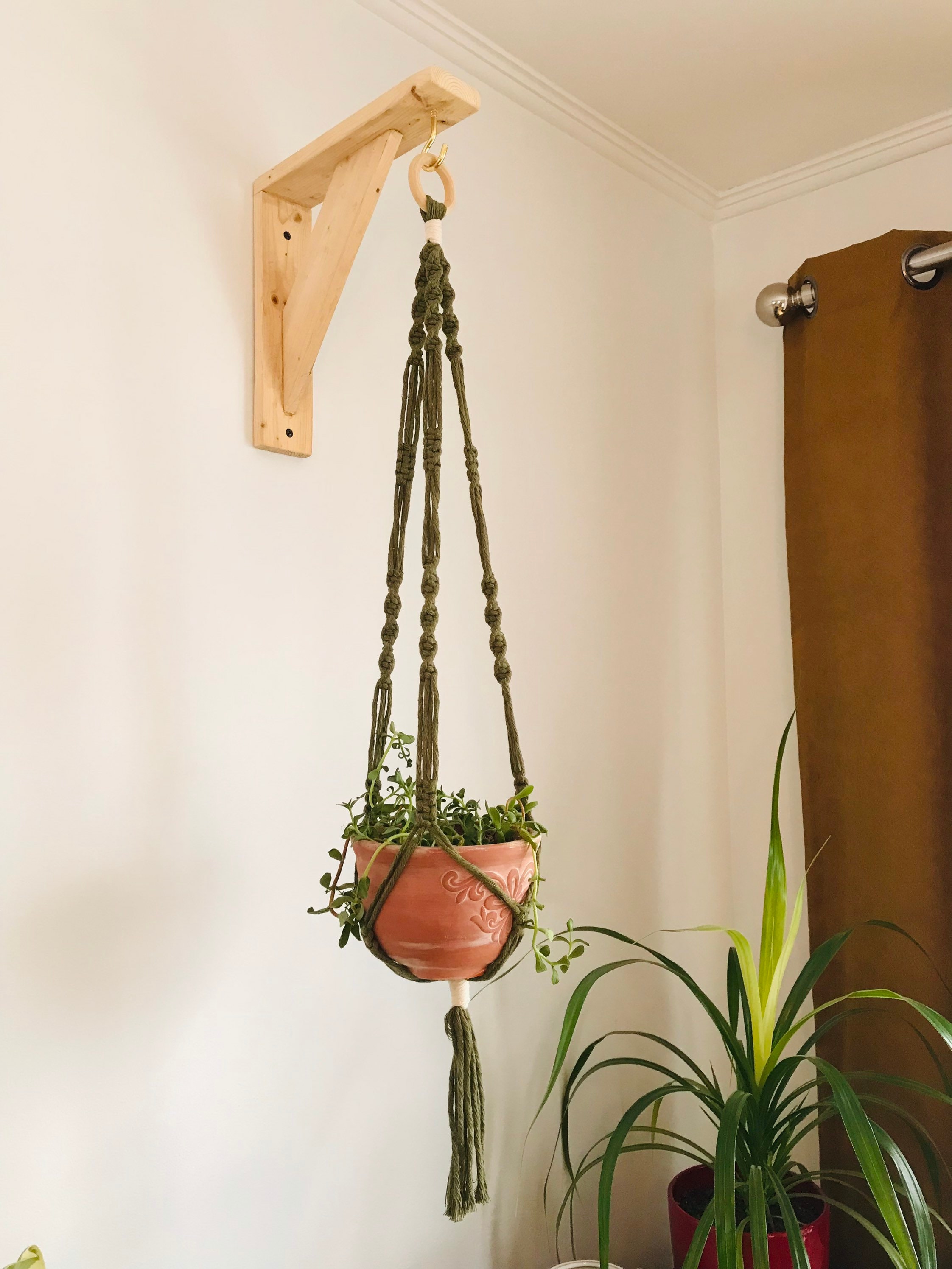 Crochet de plafond/mur et ancre pour plantes suspendues, polyvalent et  solide -  Canada