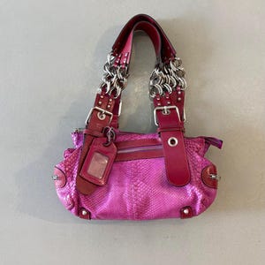 Może przedstawiać: Różowa torebka ze wzorem skóry węża. Torebka posiada srebrne łańcuszki, bordowe skórzane akcenty i małą zawieszkę. Posiada zapięcie na zamek błyskawiczny i ozdobne metalowe ćwieki.