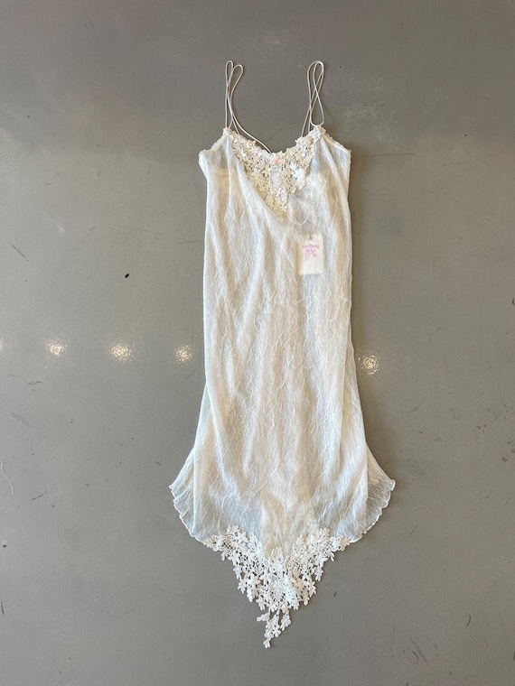 Claire Pettibone Lace Sheer Rose Slip Dress