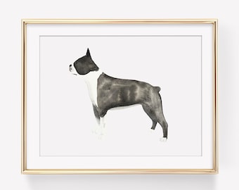 Watercolor Boston Terrier Art Print - Physical Art Print