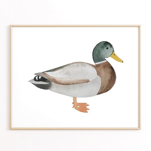 Watercolor Mallard Duck Print Watercolor Nursery Decor Etsy
