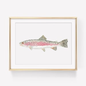 DIGITAL DOWNLOAD - Rainbow Trout Watercolor Digital Download