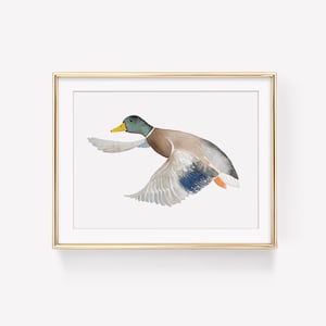 Watercolor flying mallard duck, wildlife artwork, man cave decor, baby boy nursery