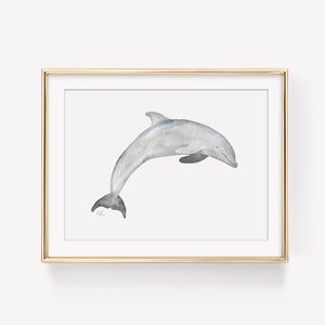Watercolor Dolphin Art Print