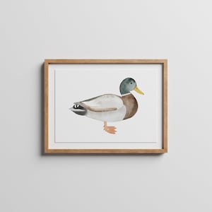 Mallard Duck Digital Download, Mallard Duck Clip Art