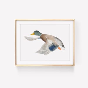 Flying Mallard Duck Digital Download, Mallard Duck Clip Art