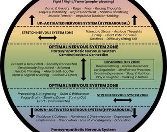 HANDHELD NERVOUS SYSTEM Education | Lightweight Wood | Window of Tolerance | Somatic Therapy | Emotional Regulation | Therapist | Counselor