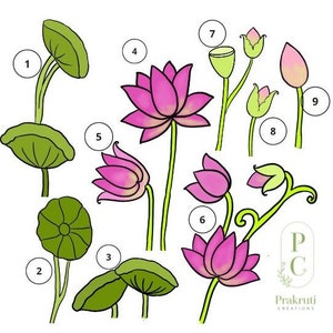 Pichwai Lotus Flowers, buds, leaves - Digital images - Enlargeable files