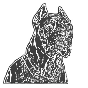 Mastiff, cane corso, dog, puppy, SVG, dfx, png, jpeg files