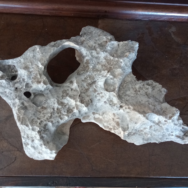 TX Holey Rock-Natural Limestone