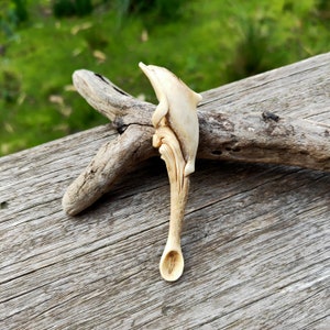 Mini Dolphin Condiment Tiny Spice Spoon