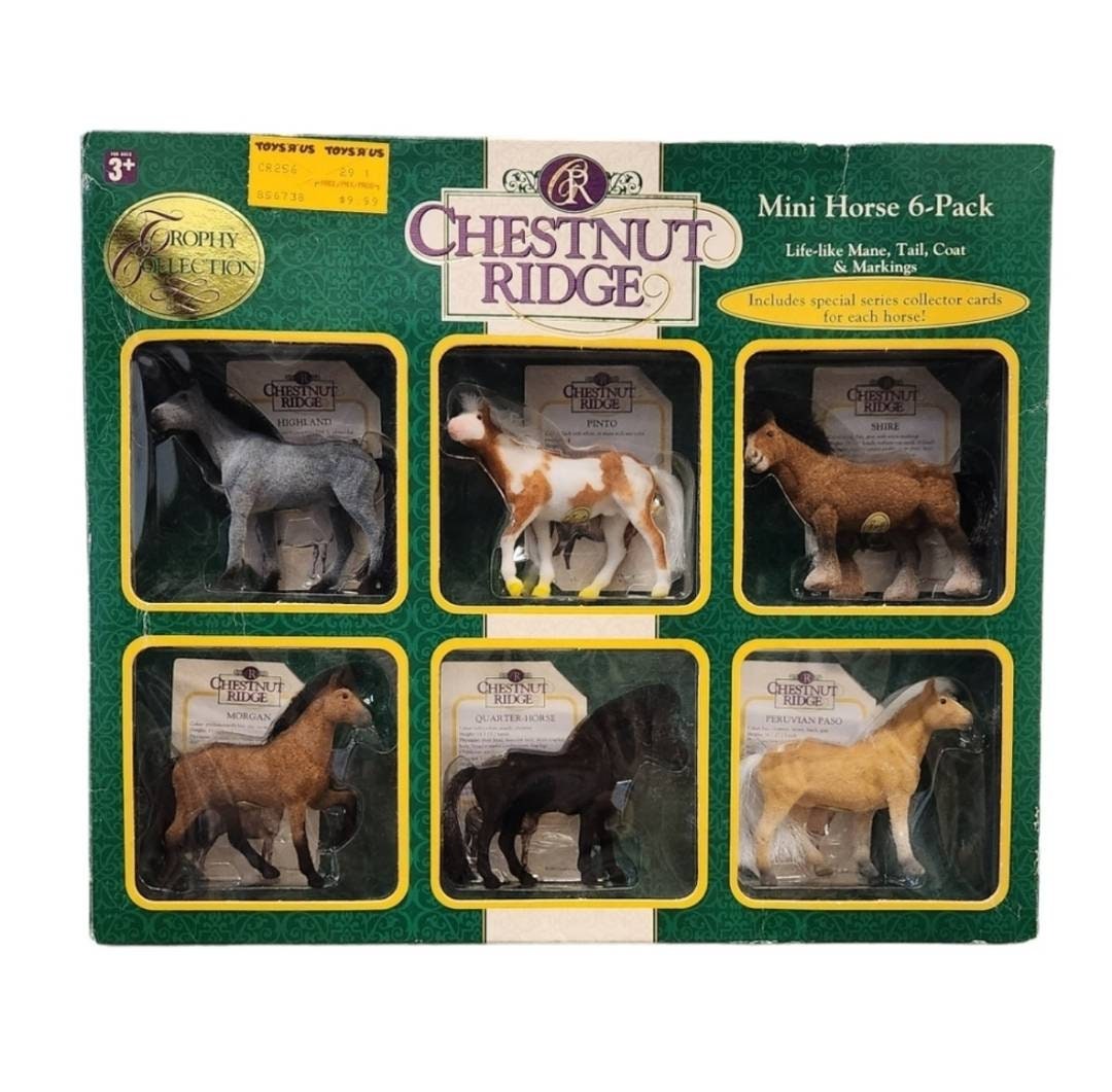 Chestnut Ridge Horses