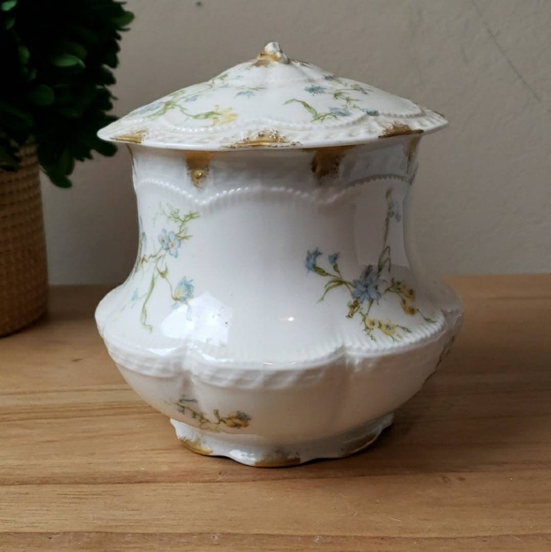 Vintage Haviland & Co France Limoges Floral Vase W/lid Etsy Ireland