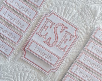 Baby Monthly Milestone Keepsake Set — Pink Bitty Dot