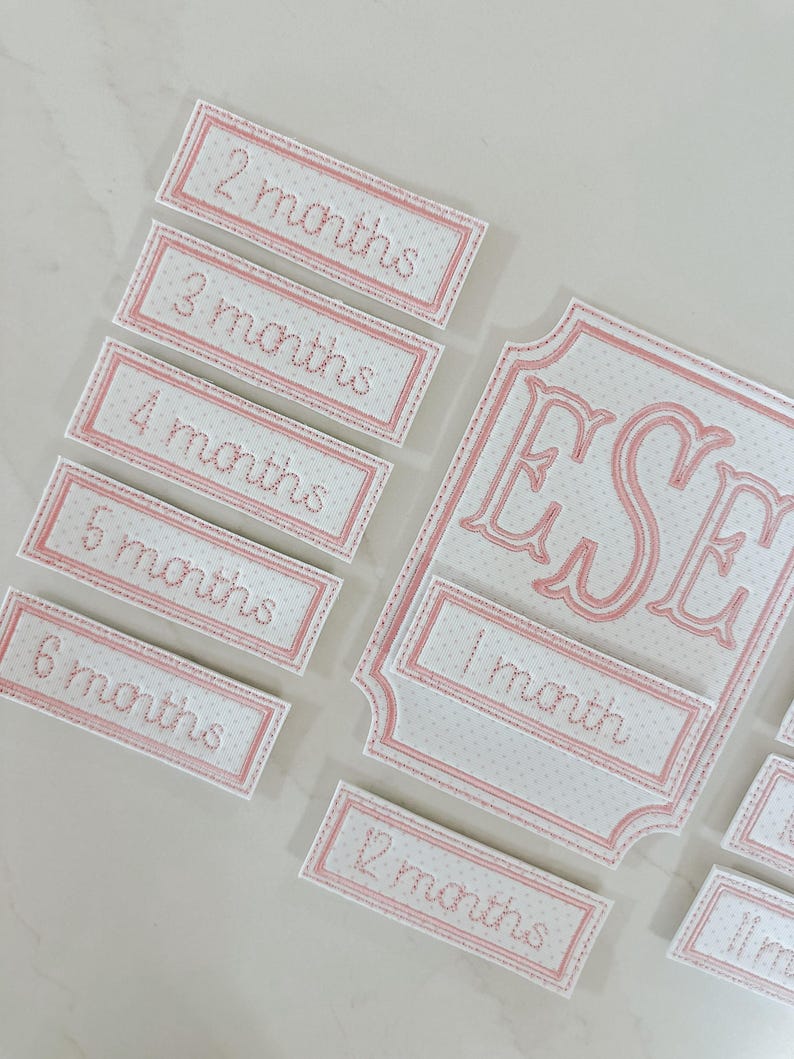 Baby Monthly Milestone Keepsake Set — Pink Bitty Dot - Etsy