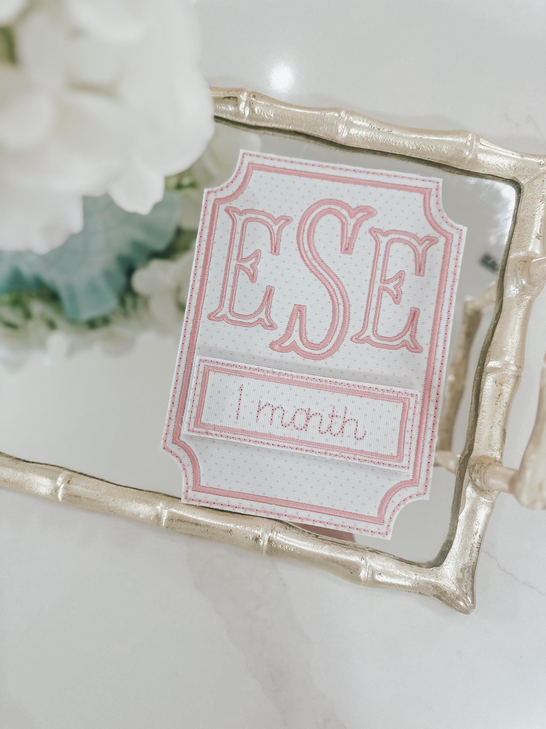 Baby Monthly Milestone Keepsake Set — Pink Bitty Dot - Etsy