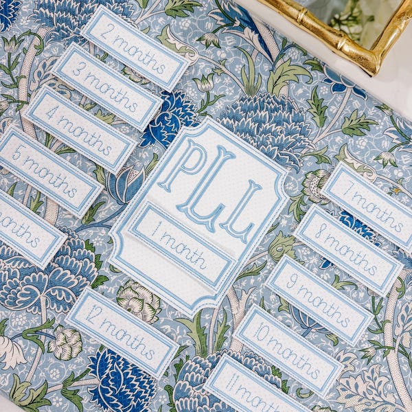 Set de recuerdos de hitos mensuales para bebés — Blue Bitty Dot