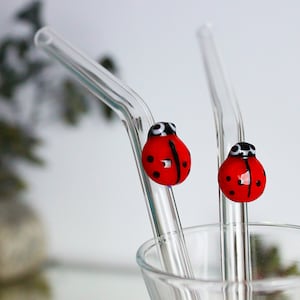 May include: Two clear glass drinking straws with red ladybug-shaped tops. The straws are bent and are in a clear glass.