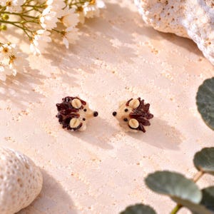 May include: A pair of small, sculpted hedgehog-shaped stud earrings. Each earring features a glossy dark brown back with textured spines, a smooth cream-colored face, two tiny black eyes, and a small black nose, crafted with a polished finish.