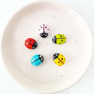Puede incluir: Cinco piedras decorativas con forma de mariquita en rojo, azul, amarillo, verde y blanco, cada una con puntos y ojos negros. Están dispuestas sobre un plato de cerámica blanco con motas doradas. Miden unos 2-3 cm.