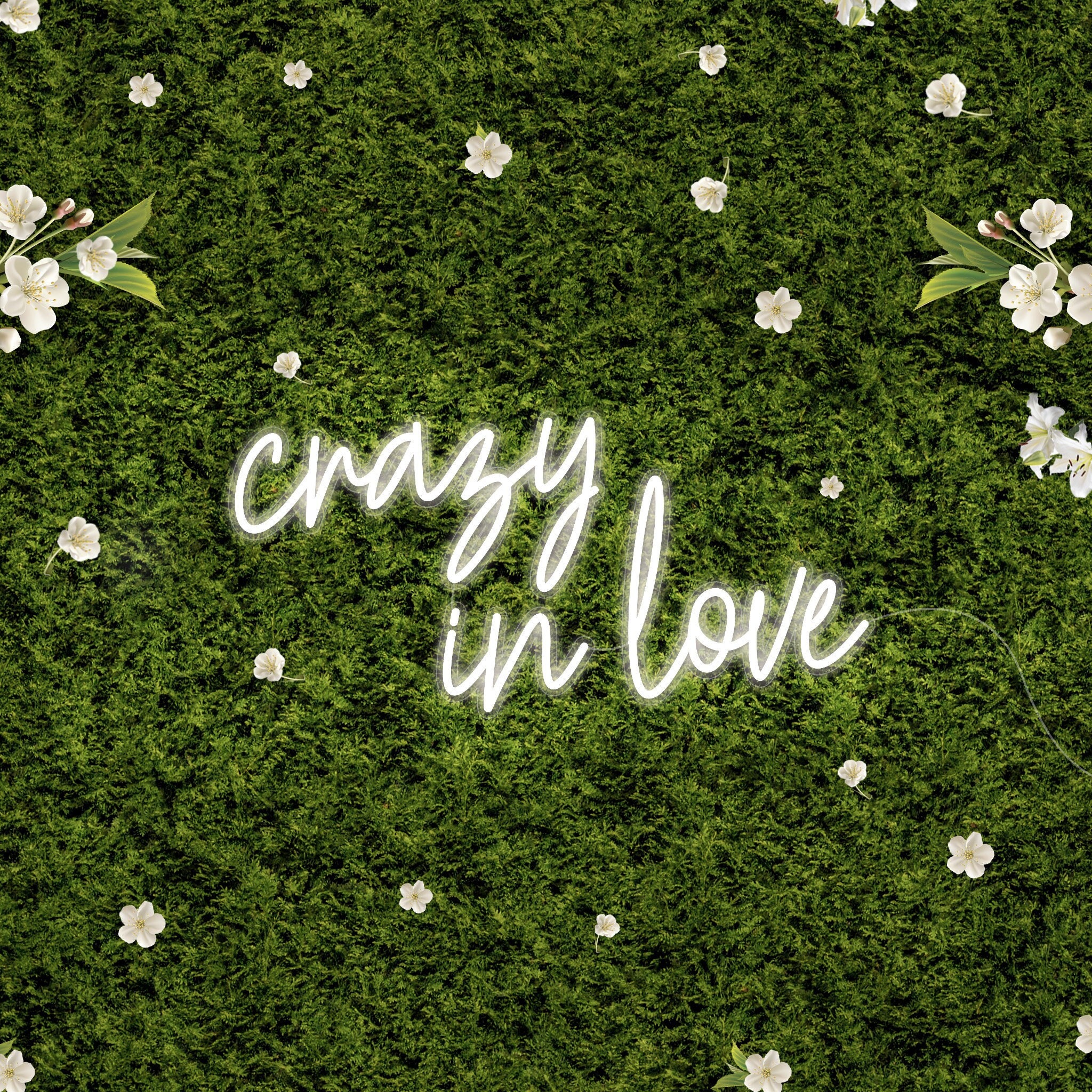 Crazy in Love LED Neon Sign perfect for weddings by Nuwave Neon