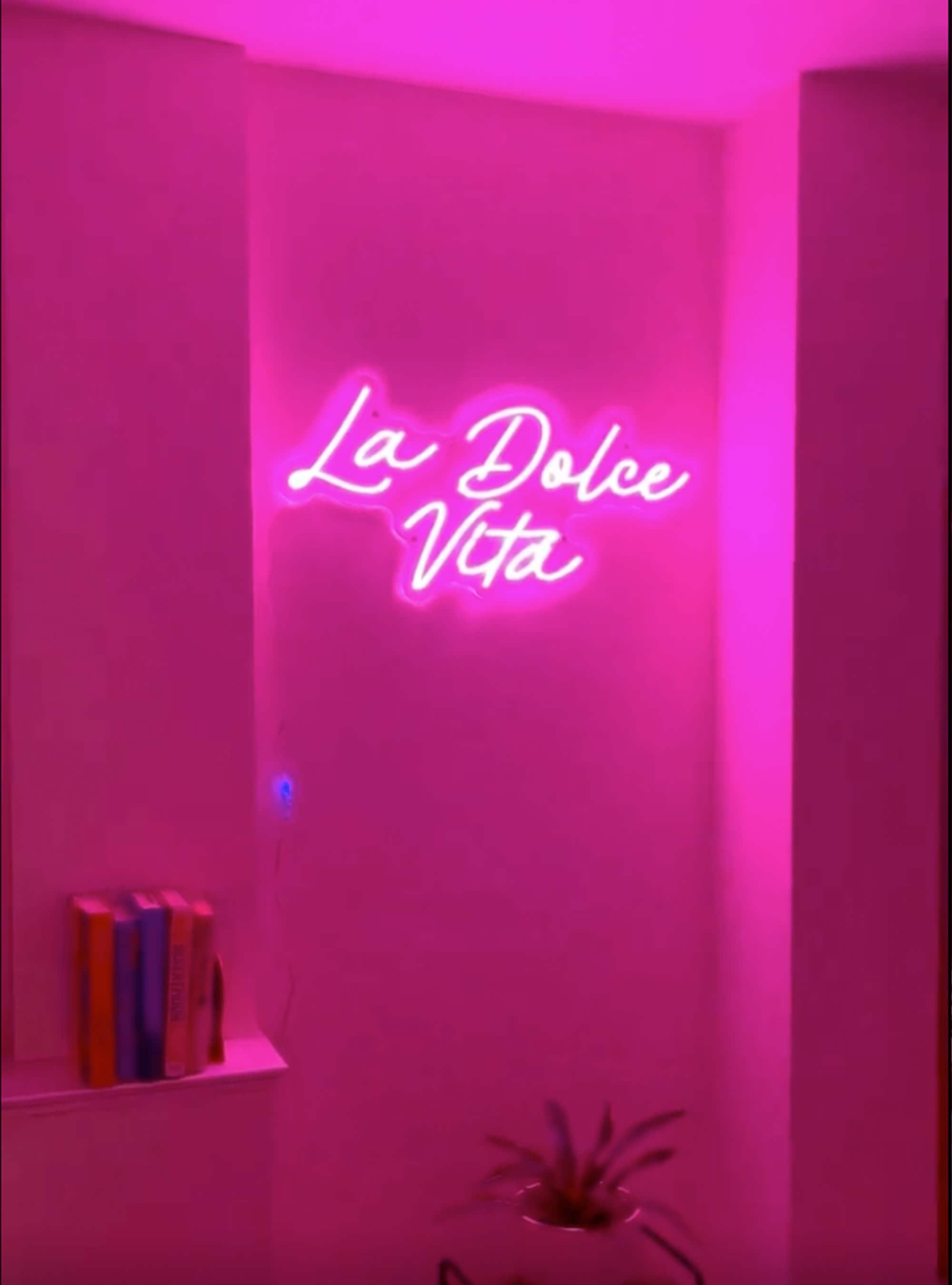 La Dolce Vita in Neon Lights Pink LED Illuminated Text Sign