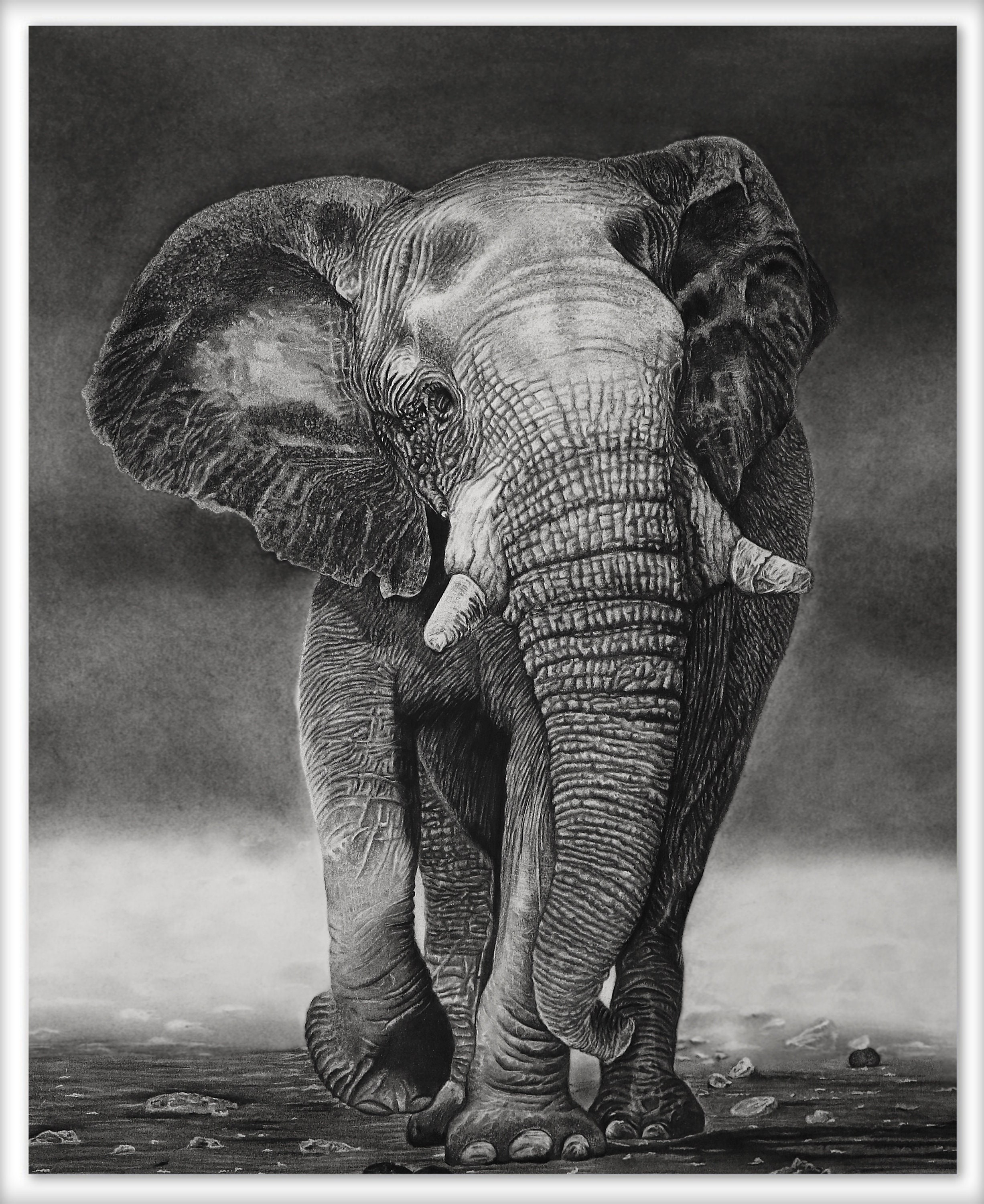 Realistic elephant Drawing Prints | Etsy Realistic Drawings Of Elephants