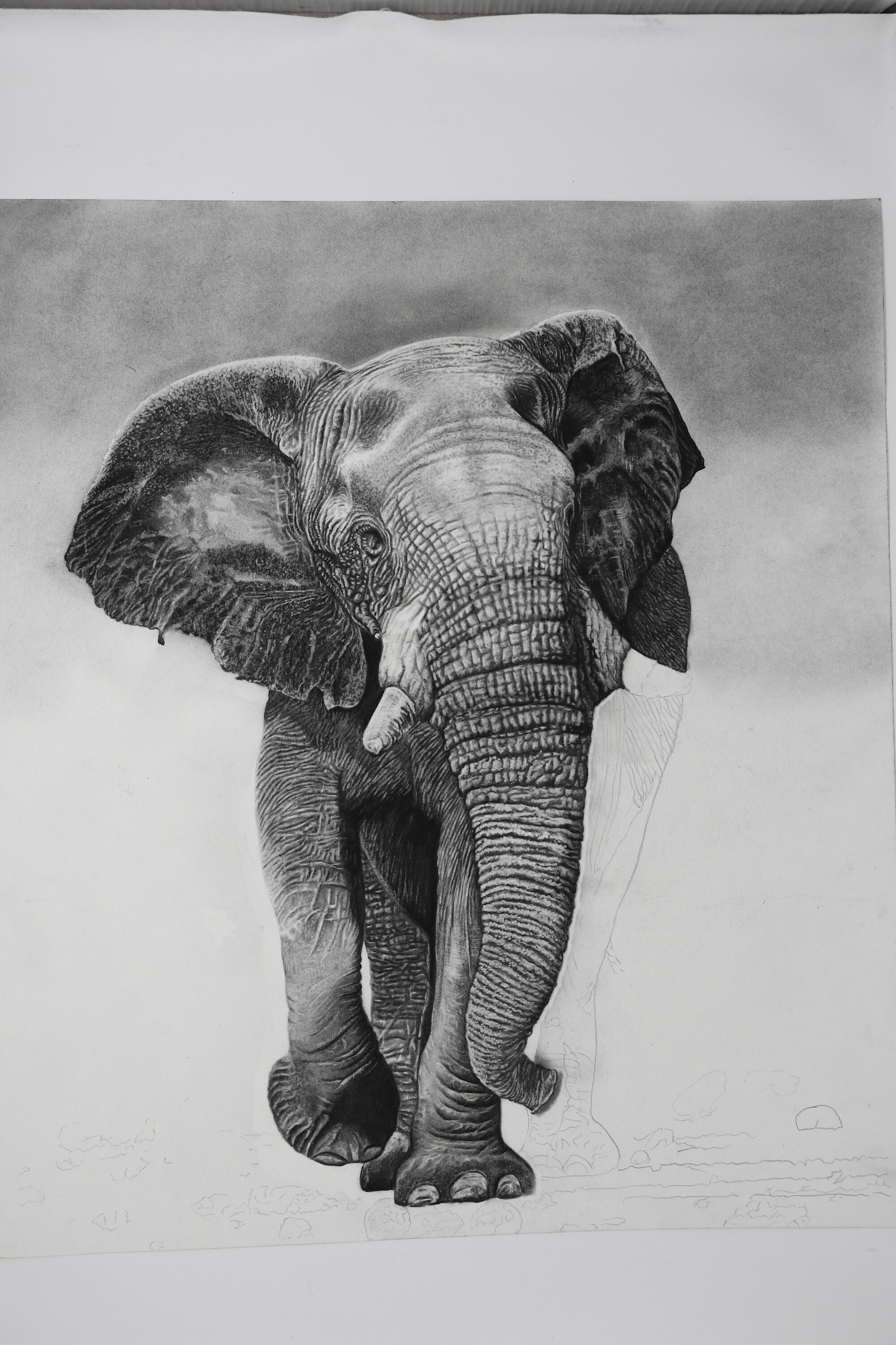 Realistic elephant Drawing Prints | Etsy Realistic Drawings Of Elephants