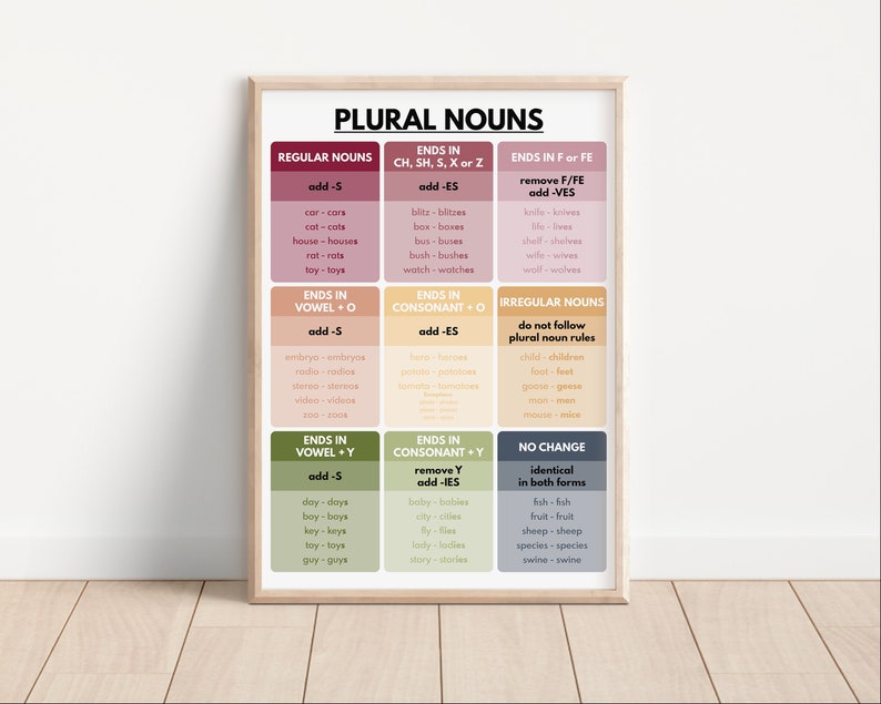Plural Nouns Grammar Poster: Homeschool Classroom Decor (digital ...