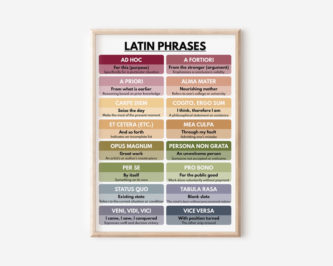 LATIN PHRASES POSTER Vocabulary Pastel Color Scheme Chart Etsy