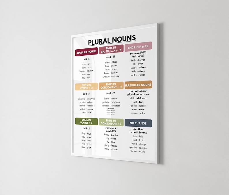 Plural Nouns Grammar Poster: Homeschool Classroom Decor (digital ...